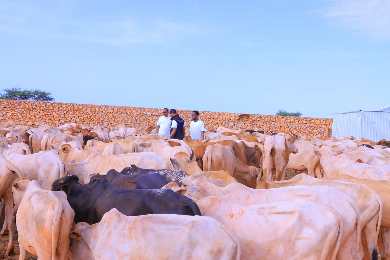 Qurban images Image 19
